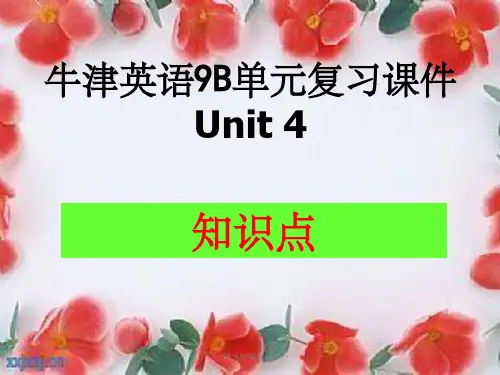 牛津英语9B Unit4重点短语