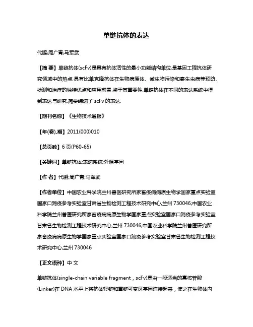 单链抗体的表达
