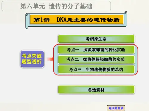 高考生物 一轮复习 第1讲 DNA是主要的遗传物质