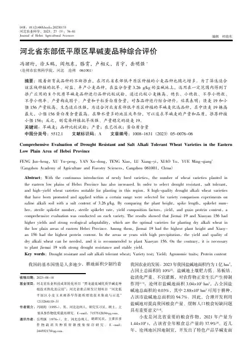 河北省东部低平原区旱碱麦品种综合评价