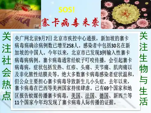 苏教版初中生物八年级上册 5.14.3 神奇的微生物 课件 (共29张PPT)