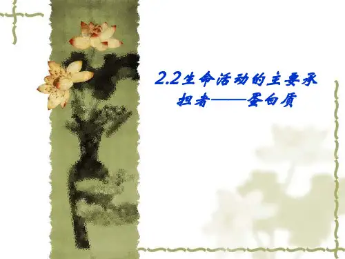 生命活动的主要承担者蛋白质优质课PPT课件