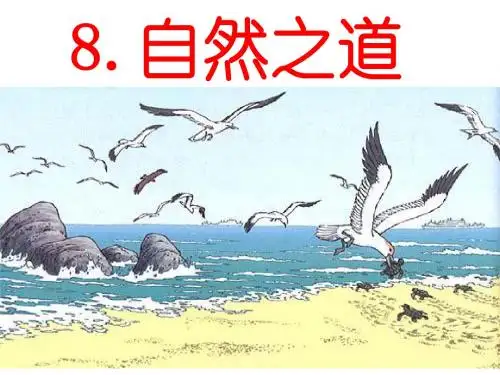 《自然之道》公开课优质课ppt课件.
