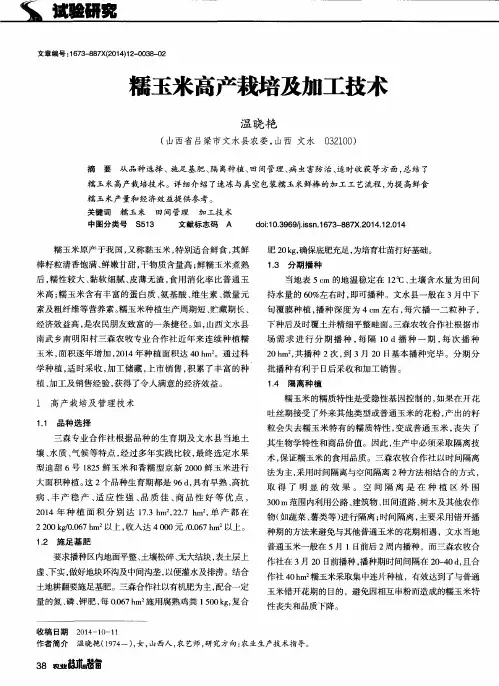 糯玉米高产栽培及加工技术