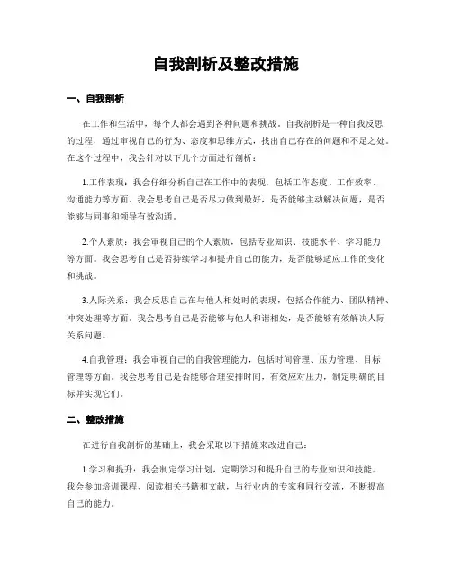 自我剖析及整改措施