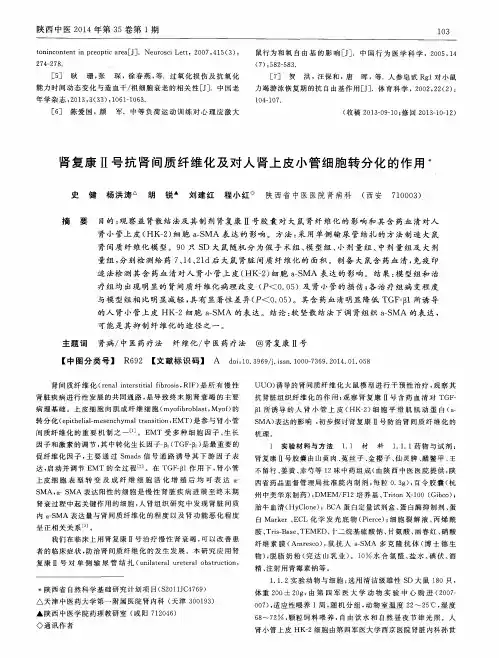 肾复康Ⅱ号抗肾间质纤维化及对人肾上皮小管细胞转分化的作用