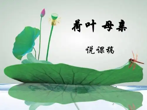 《荷叶母亲》说课