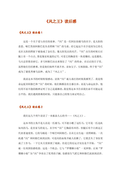 《风之王》读后感_11