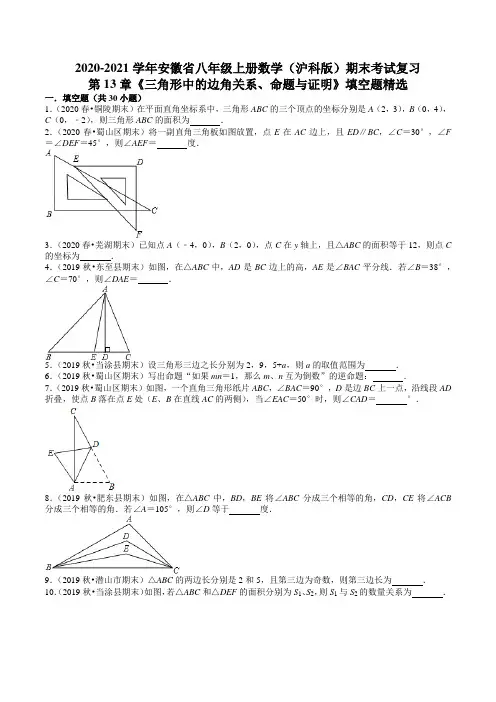 《三角形中的边角关系、命题与证明》填空题精选 2020年沪科版八年级上册期末复习(含答案)
