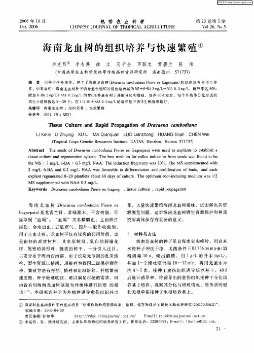 海南龙血树的组织培养与快速繁殖