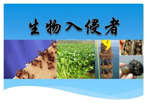 《生物入侵者》PPT课件3 (共19张PPT)