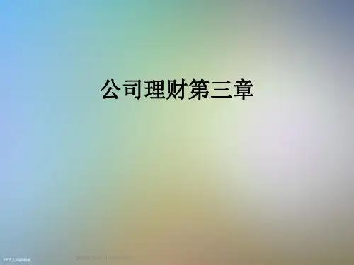 公司理财第三章