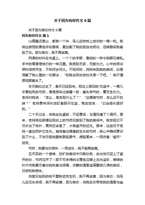 关于因为有你作文6篇