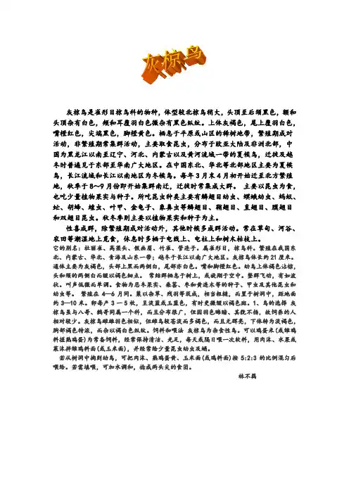 灰椋鸟