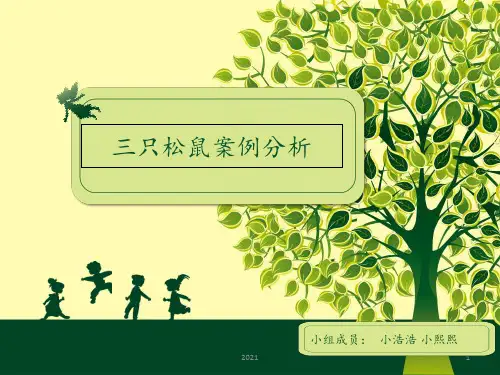 三只松鼠案例分析PPT课件