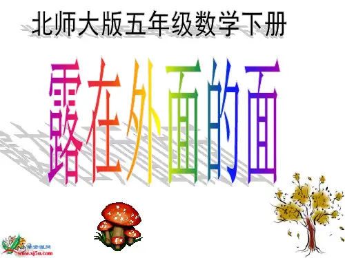 《露在外面的面》课件 北师大版数学五年级下册课件