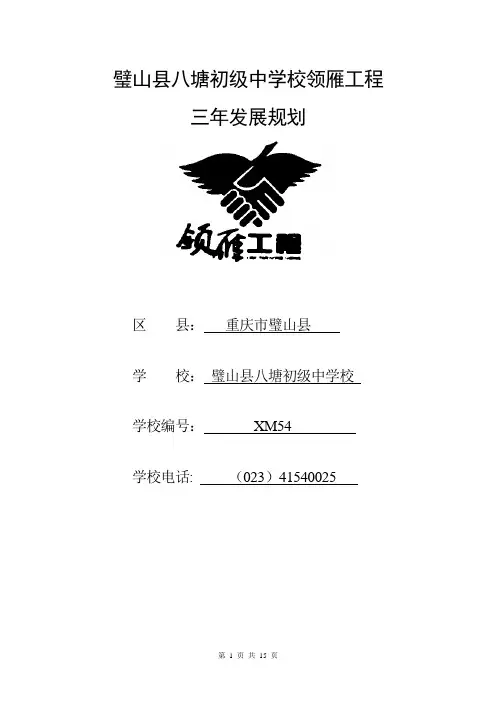 璧山县八塘初级中学校自主发展规划