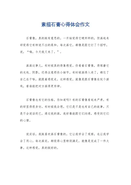 素描石膏心得体会作文
