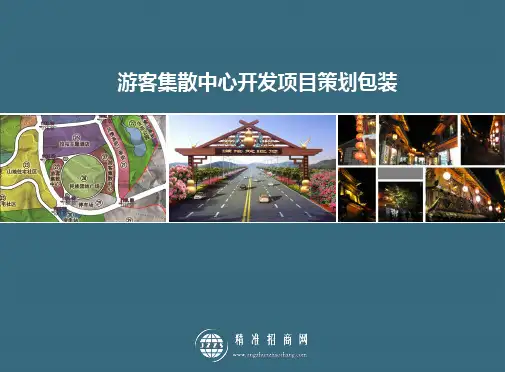 招商引资项目策划包装：游客集散中心项目策划包装