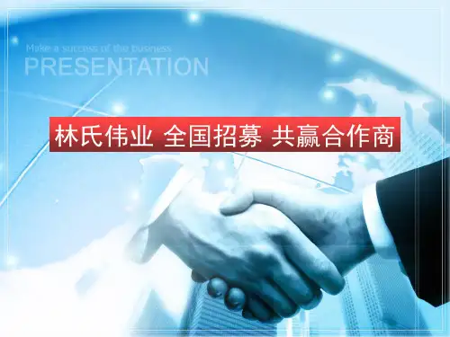 某公司招商加盟方案PPT(共 37张)