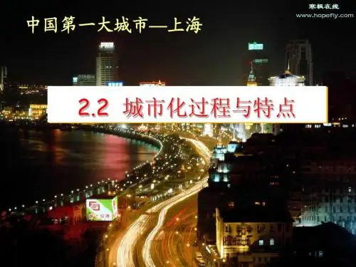 2.2城市化过程与特点