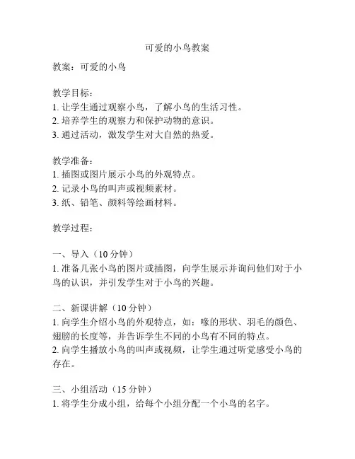 可爱的小鸟教案