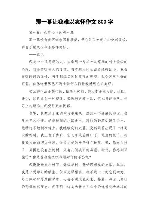 那一幕让我难以忘怀作文800字_作文
