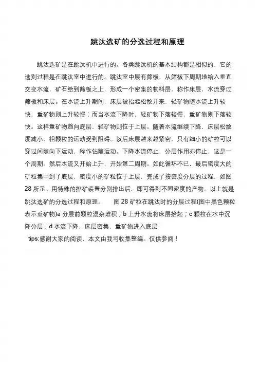 跳汰选矿的分选过程和原理