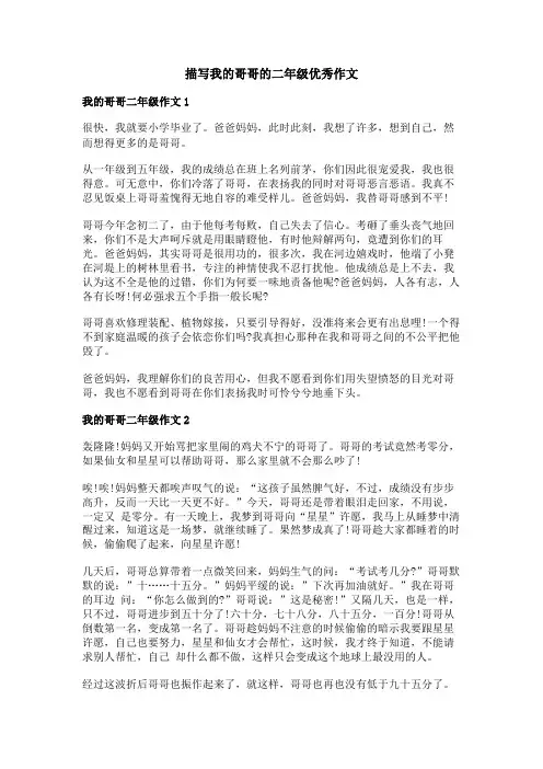 描写我的哥哥的二年级优秀作文