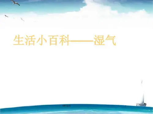 如何去除体内湿气  ppt课件