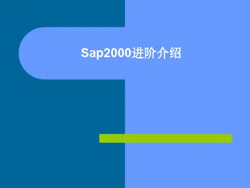 sap2000常见问题