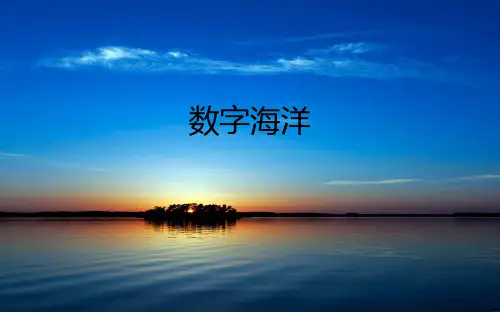 数字海洋
