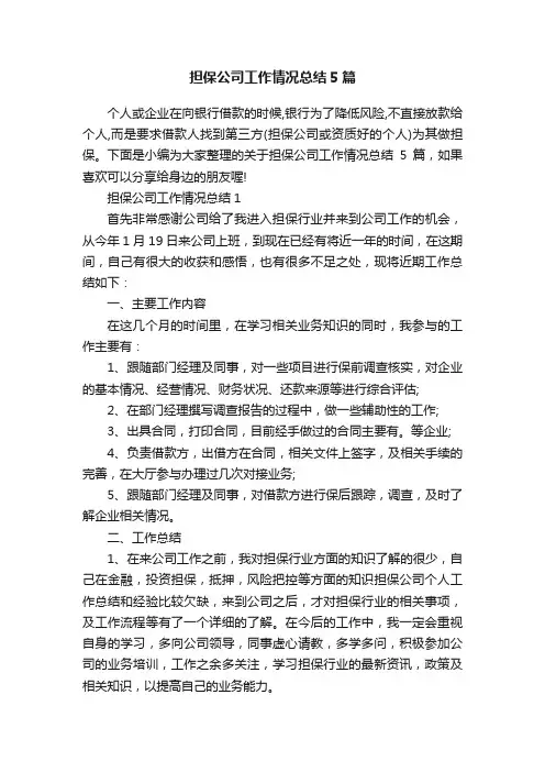 担保公司工作情况总结5篇