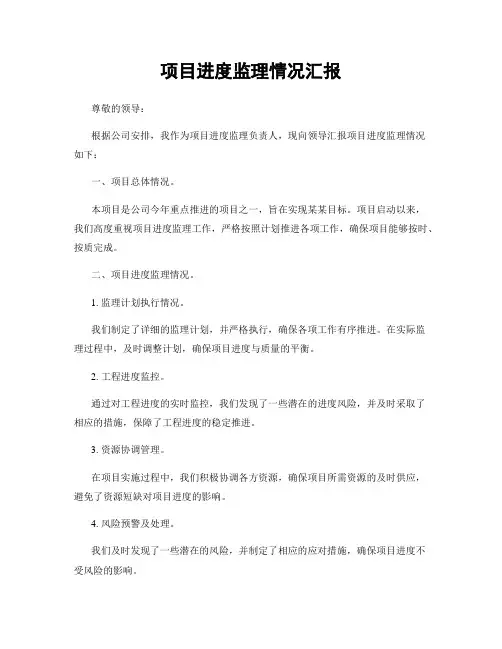 项目进度监理情况汇报