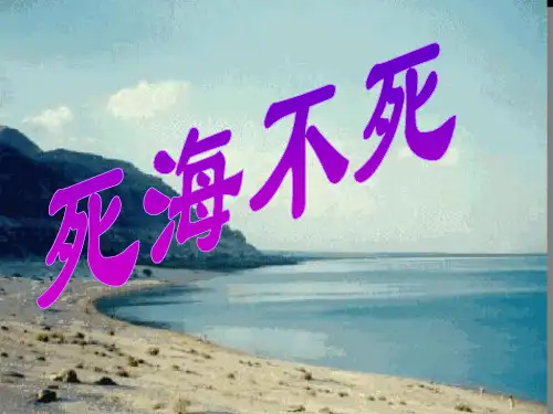 秋语文七上第23课《死海不死》精品课件