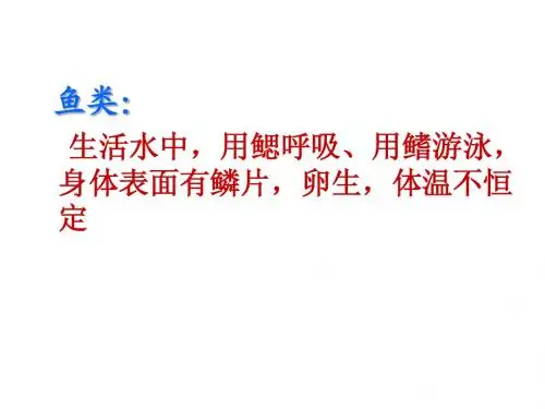 2.2常见的动物-无脊椎动物