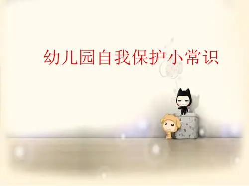 幼儿园自我保护小常识课件(PPT43页)
