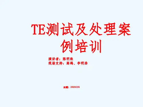 LTE(tems)测试及处理案例培训