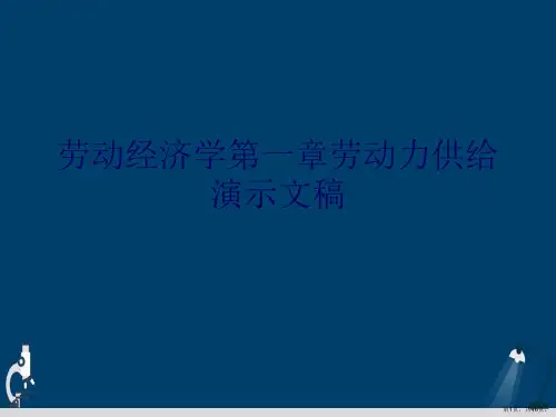 劳动经济学第一章劳动力供给演示文稿