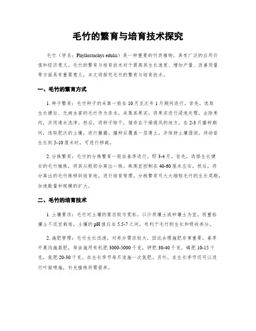 毛竹的繁育与培育技术探究