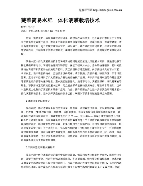 蔬菜简易水肥一体化滴灌栽培技术