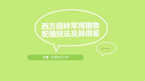 西方现代园林植物配置 精华版