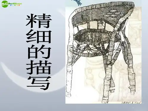 五年级美术下册_精细的描写课件_人美版