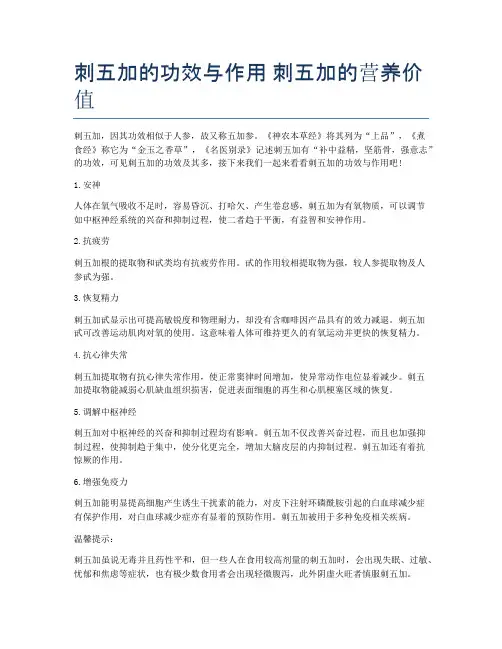 刺五加的功效与作用-刺五加的营养价值
