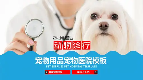 宠物医院PPT