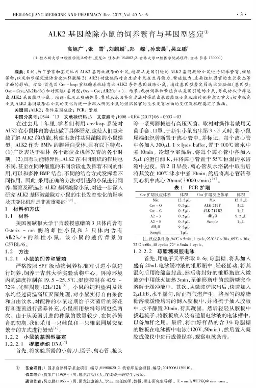 ALK2基因敲除小鼠的饲养繁育与基因型鉴定