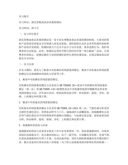 粮油检测站实习报告