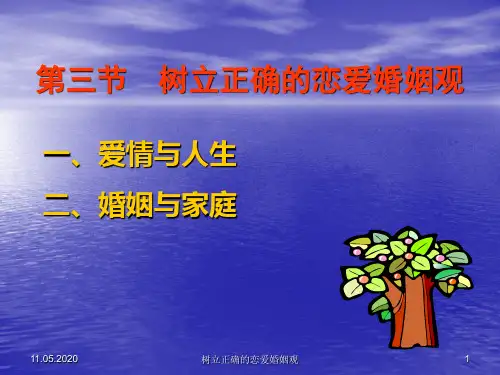 大学思修ppt课件--树立正确的恋爱婚姻观. 共46页