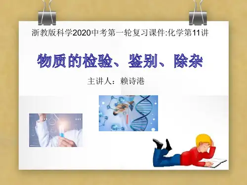 浙教版2020中考科学第一轮化学复习课件：第11讲 物质检验、鉴别、除杂(31张PPT )