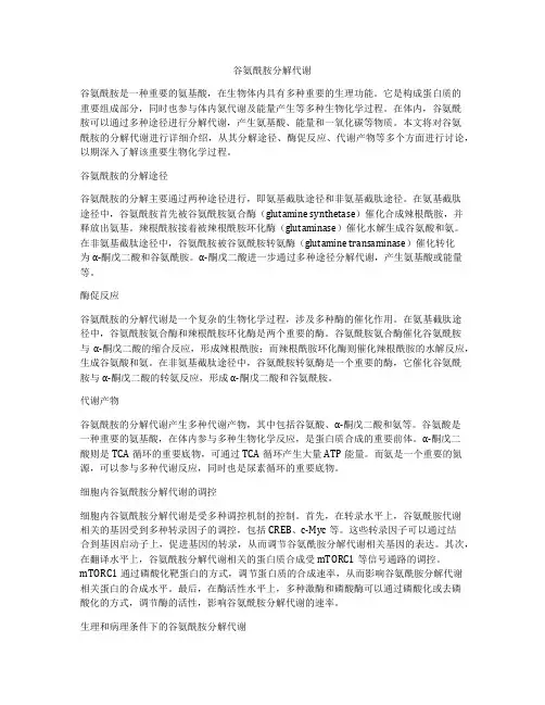 谷氨酰胺分解代谢